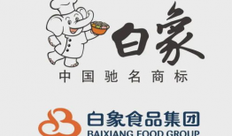白象视频,探寻传统与现代交融的美食之旅